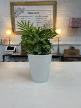 Load image into Gallery viewer, White Chevron Pot