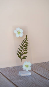 Xaden Riorson Bookmark