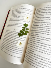 Load image into Gallery viewer, Mr. Darcy Bookmark
