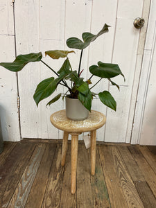 Hand Carved Stool