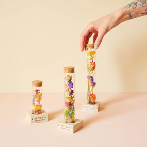 Dried Flowers - Wish Bottle - Jewel Tones