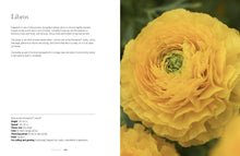 Load image into Gallery viewer, Ranunculus: Beautiful varieties for home and garden