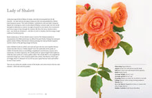 Load image into Gallery viewer, Vintage Roses: Beautiful Varieties for Home &amp; Garden