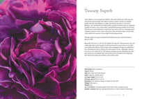 Load image into Gallery viewer, Vintage Roses: Beautiful Varieties for Home &amp; Garden