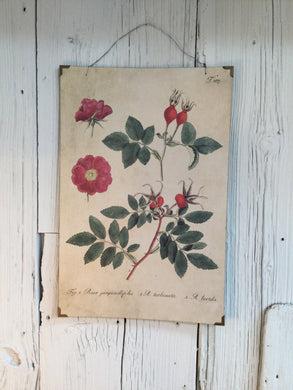 Floral Print Wall Art