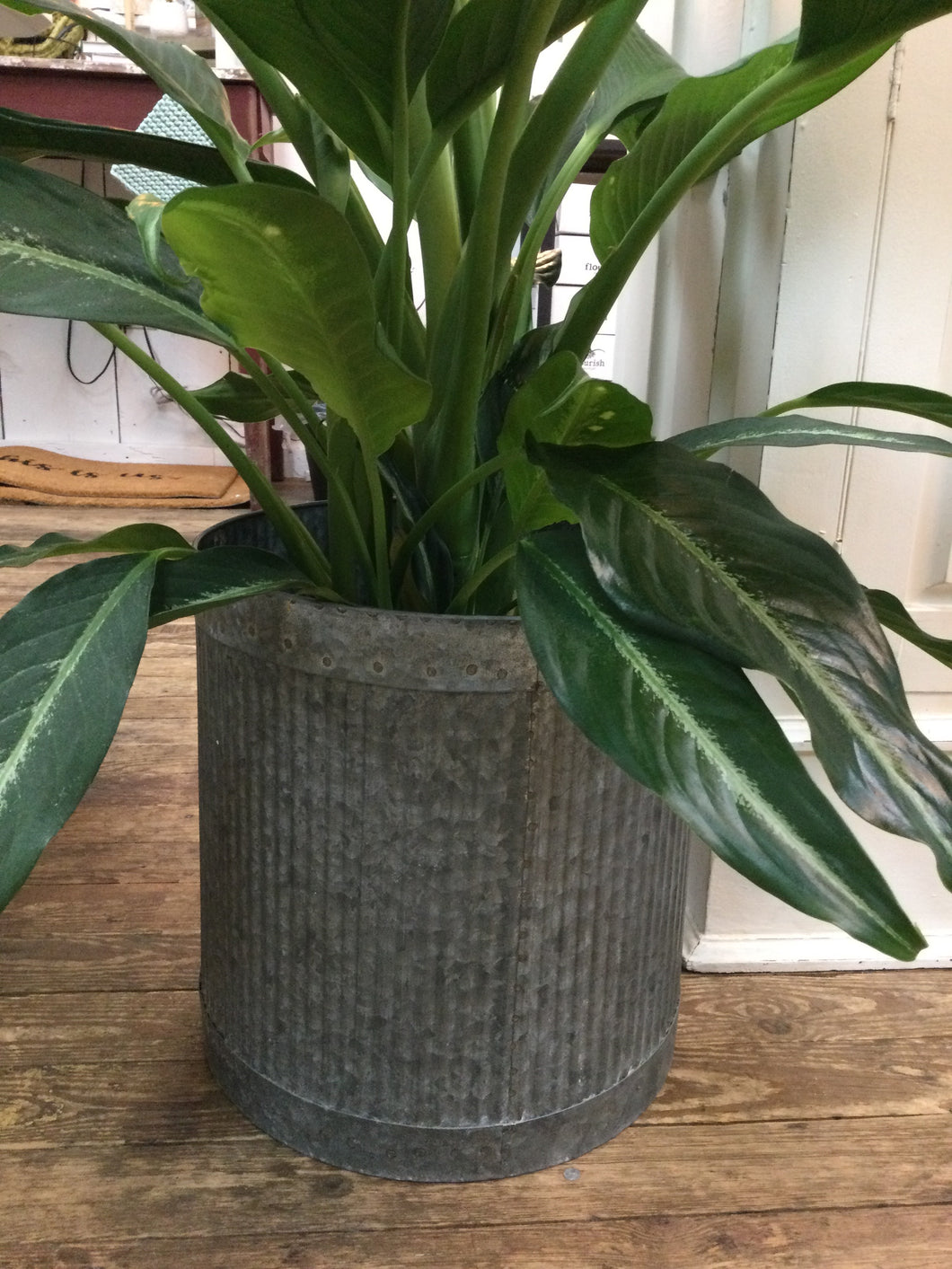 Tin planter