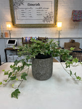Load image into Gallery viewer, Cement Pot- large