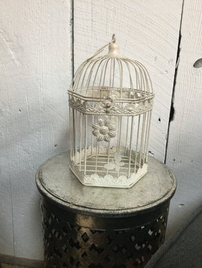 Baby Bird Cage