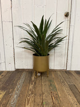 Load image into Gallery viewer, Juneau Etched Planter
