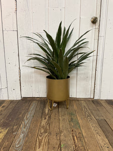 Juneau Etched Planter
