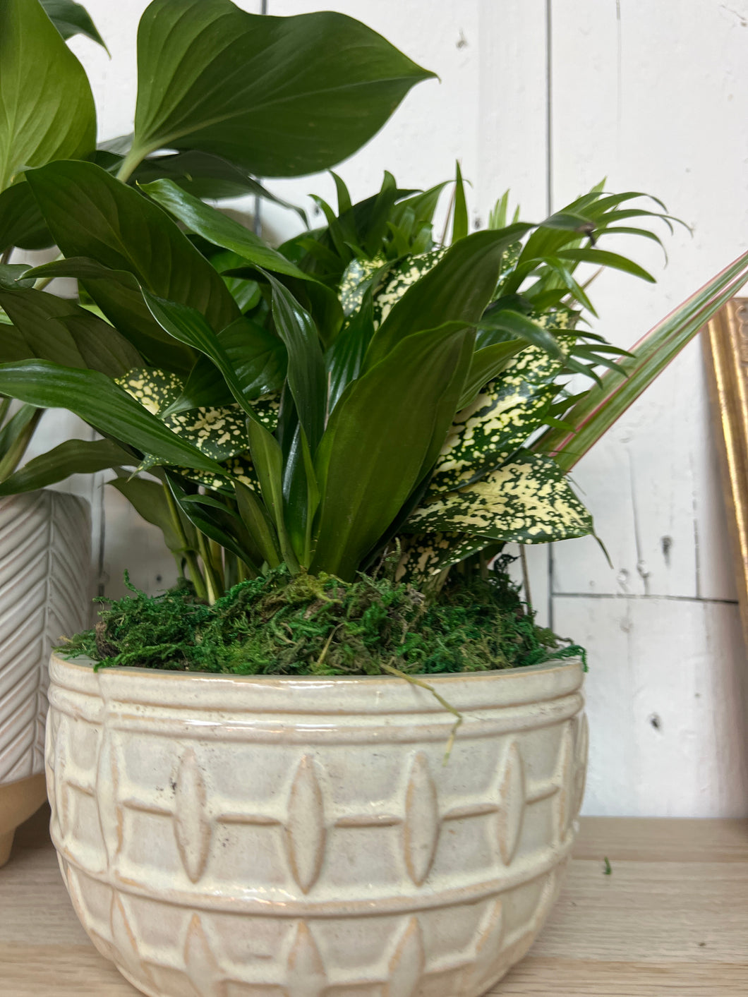 Ceramic garden dish