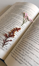 Load image into Gallery viewer, Jo March Bookmark
