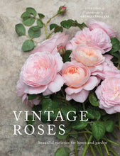 Load image into Gallery viewer, Vintage Roses: Beautiful Varieties for Home &amp; Garden