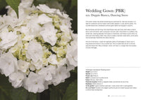 Load image into Gallery viewer, Hydrangeas: Beautiful Varieties for Home &amp; Garden