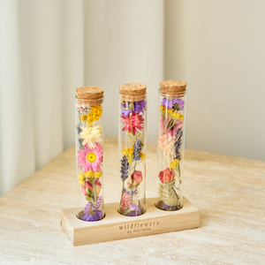 Dried Flowers - Wish Bottle - Jewel Tones