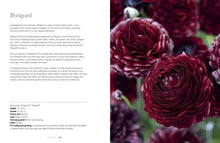 Load image into Gallery viewer, Ranunculus: Beautiful varieties for home and garden