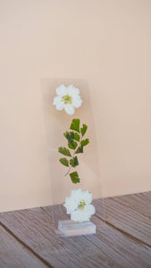 Mr. Darcy Bookmark