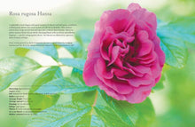Load image into Gallery viewer, Vintage Roses: Beautiful Varieties for Home &amp; Garden